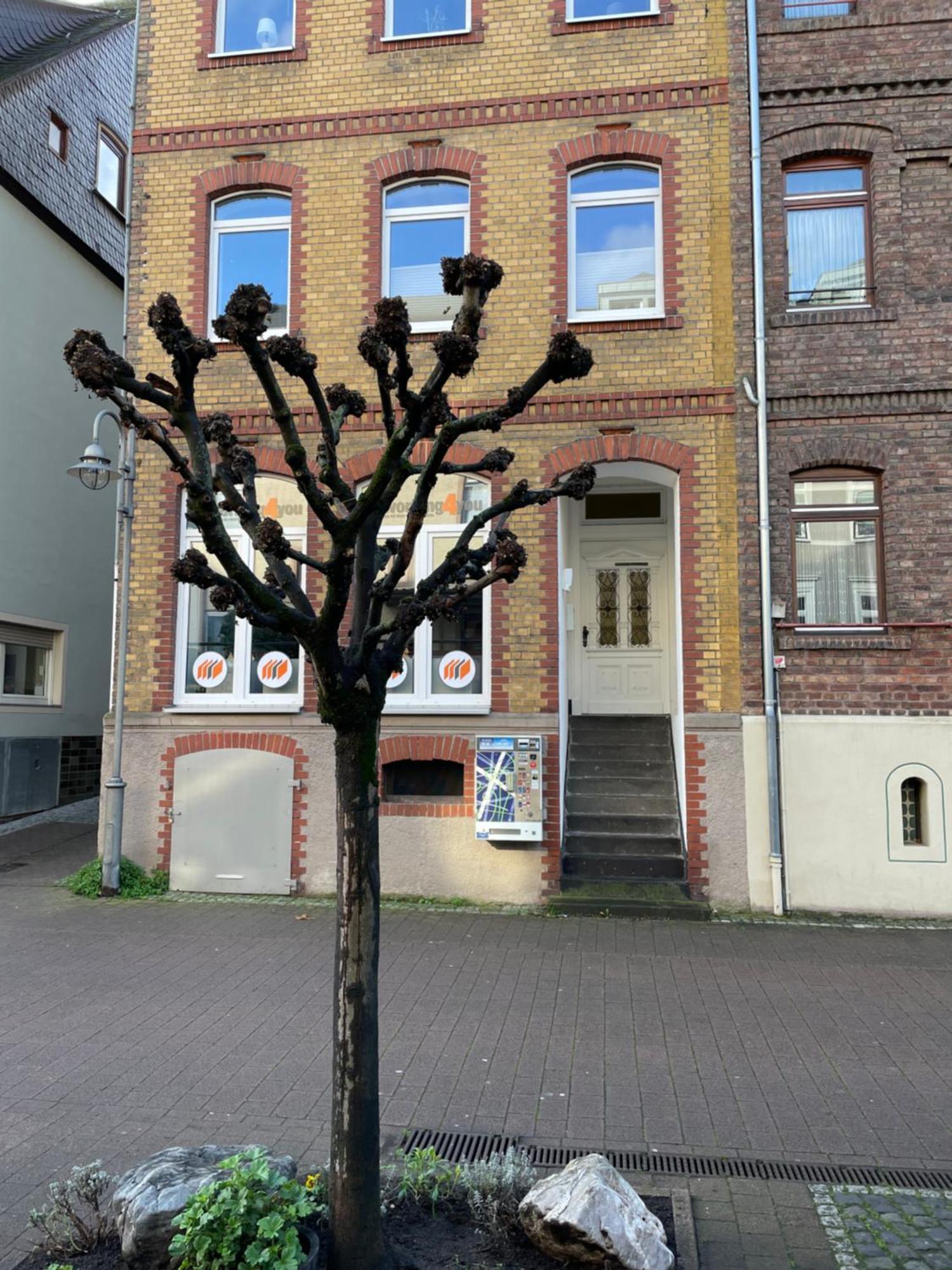 Good Times In St. Goar Sankt Goar Exterior foto